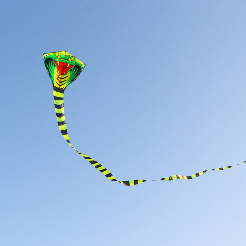 Cerf-volant serpent Paradise B - Outdoor Sport Outlet avis et prix
